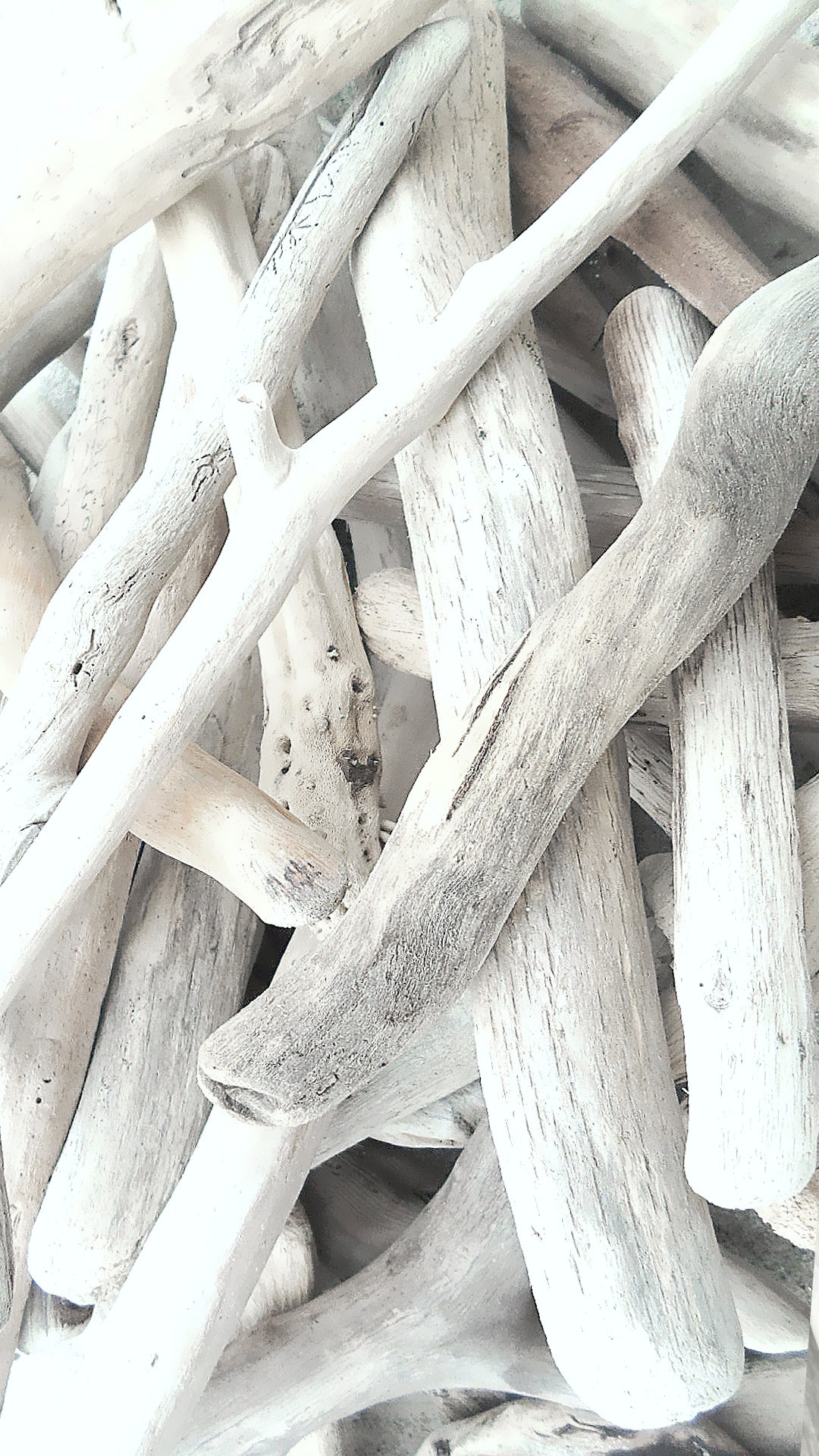 Bois Flotte Long Du Bois Flotte Pour Creations Diverses Et Insolites Bois Flotte Long Du Bois Flotte Pour Creations Diverses Et Insolites
