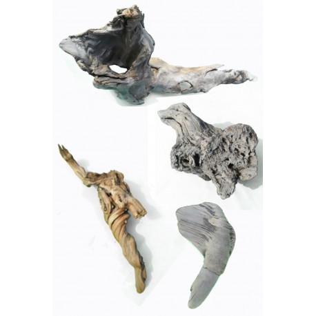 Weird Driftwood