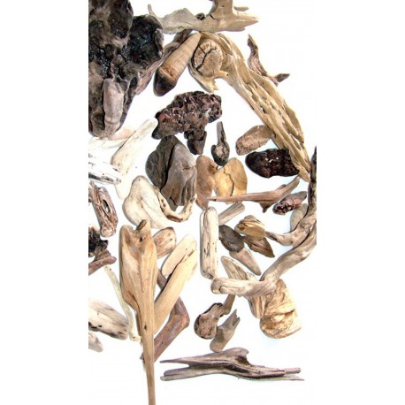 Bois flotté Créators 0.500 Kg