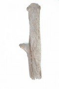 Libecciu LIB0302 Driftwood