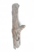 Driftwood Libecciu LIB0302