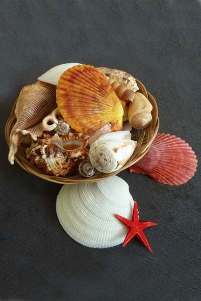 Basket of seashells