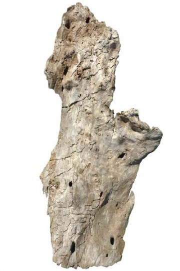 Driftwood bark for wall lamp