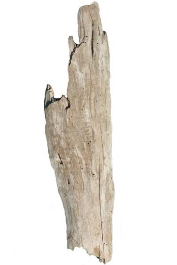 Driftwood bark for wall lamp