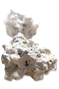 Rocaille de mer