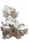 Rocaille de mer