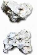 Rocaille de mer