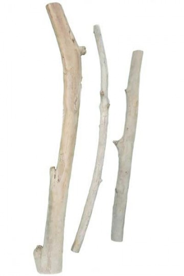 Branches en bois flotté 2 extrémités coupées pour des créations
