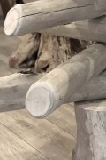 Driftwood tree