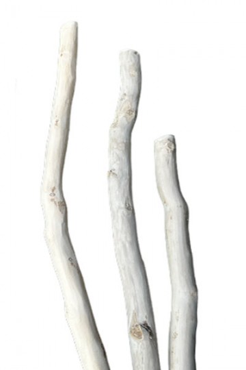 Small branches in driftwood
