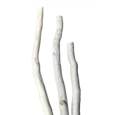 Petites branches de bois écorcées