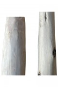 Petites branches en bois naturel - 2 extrémités coupées