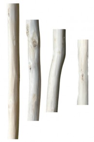 Petites branches de bois écorcées - 2 extrémités coupées