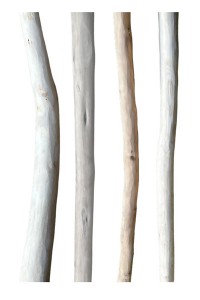 Driftwood branches: 2 cut ends