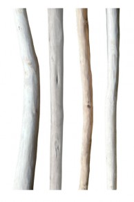 Grandes branches de bois écorcées - 2 extrémités coupées