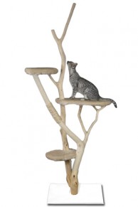 Arbre à chat en bois flotté 170 cm