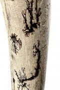 Gorgonocea sculpté sur bois flotté