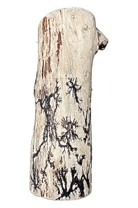 Gorgonocea sculpté sur bois flotté