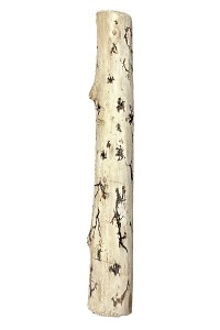 Gorgonocea sculpté sur bois flotté