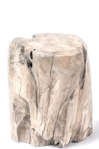 Driftwood trunk