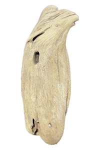 Bois flotté 331