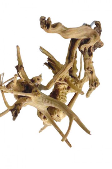 Décoration en bois naturel pour Aquarium, arbre pour tronc, plante, ornement, accessoires pour Aquarium