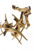 Racine de bois flotté pour aquarium, terrarium ou décoration