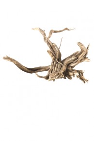 Aquarium en bois flotté pour tronc d&39arbre naturel, plante d&39aquarium, décoration de maison ou de bureau aléatoire