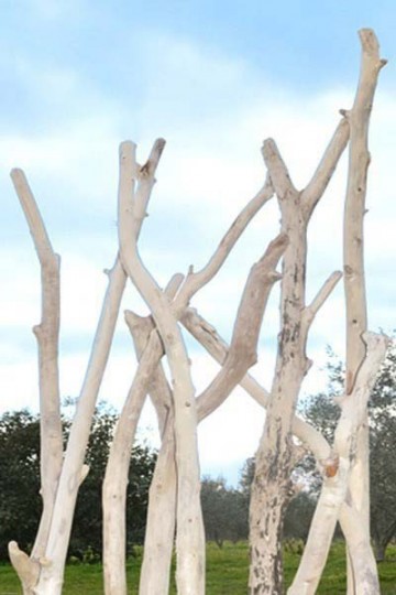 Driftwood twigs for clearance sale