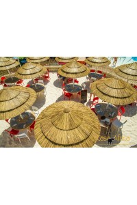 Parasol Palapa exotique largeur 200 cm