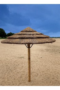 Parasol Palapa exotique largeur 240 cm