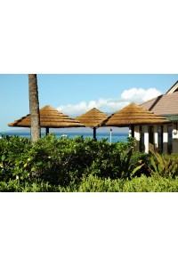 Parasol Palapa exotique largeur 330 cm