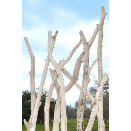 Branches de bois flotté 100 à 180 cm