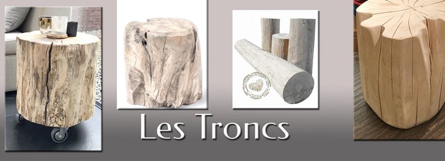 Troncs bois flotté et naturels