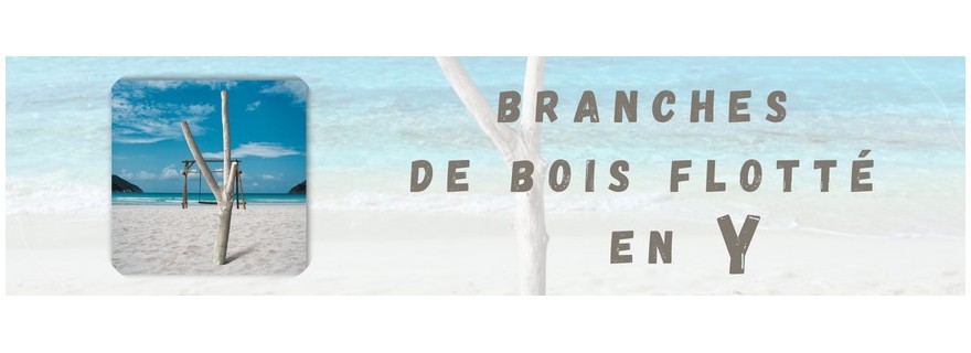 Branches en Y 