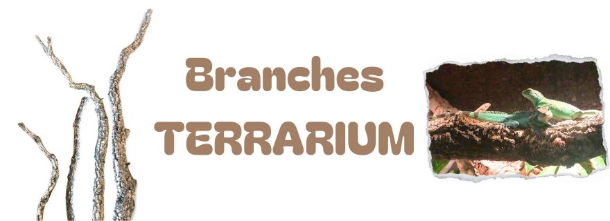 Branche Terrarium