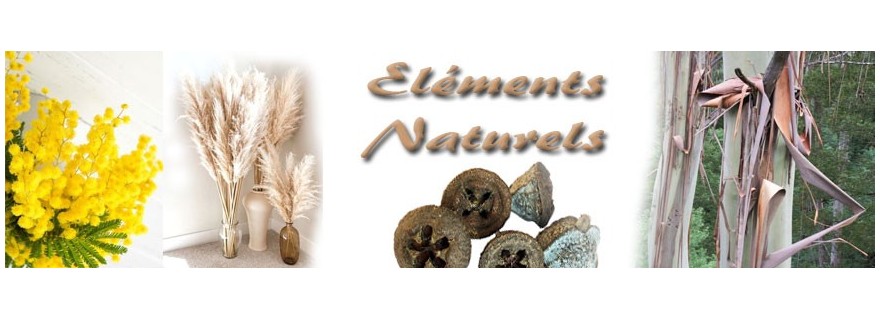 Other natural elements