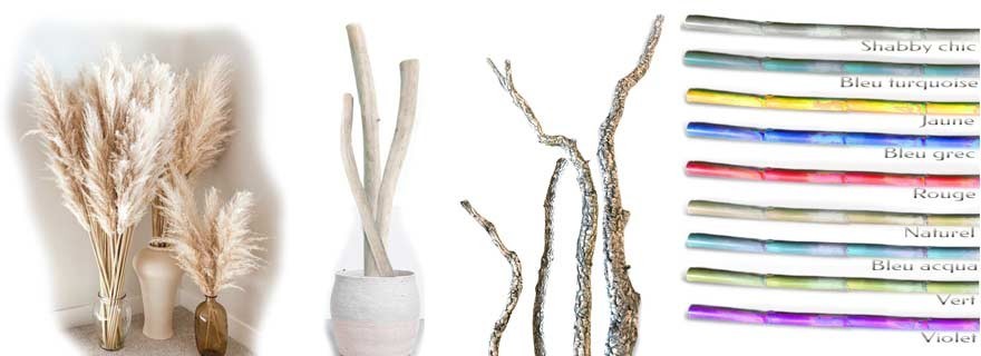 Lianes et branchages