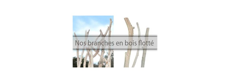 Branches de bois flotté