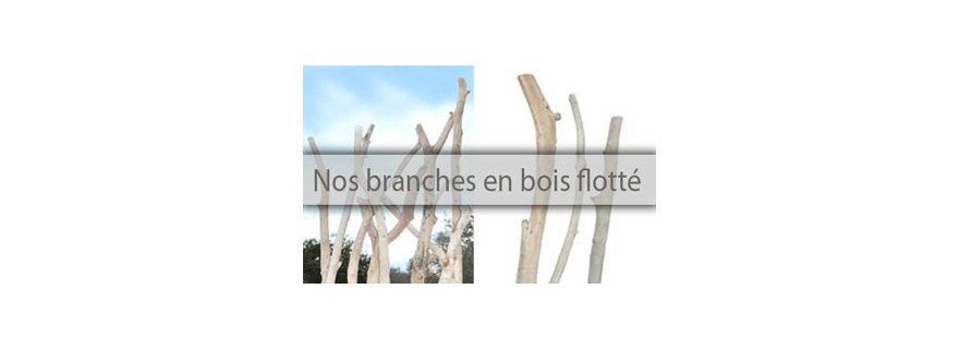 Driftwood branches