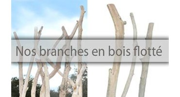 Branches de bois flotté