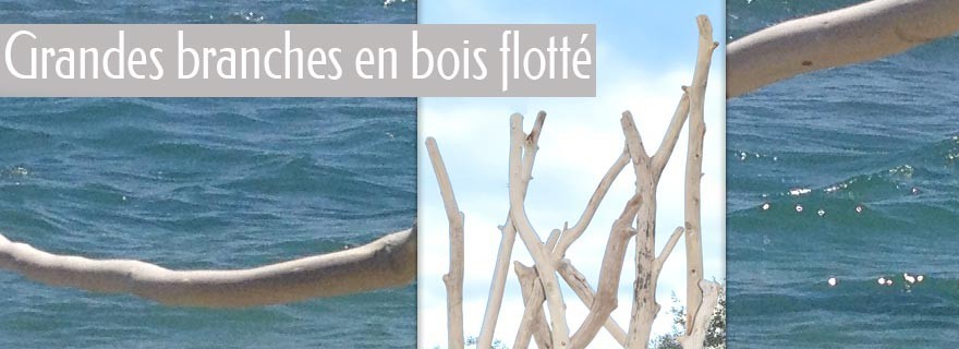 Grandes branches en bois flotté