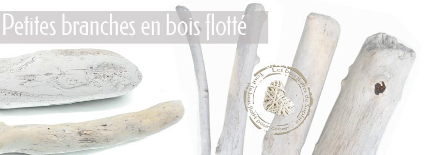 Petites branches en bois flotté