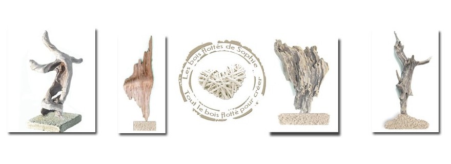 Driftwood sculptures