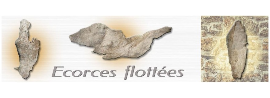 Ecorces en bois flotté