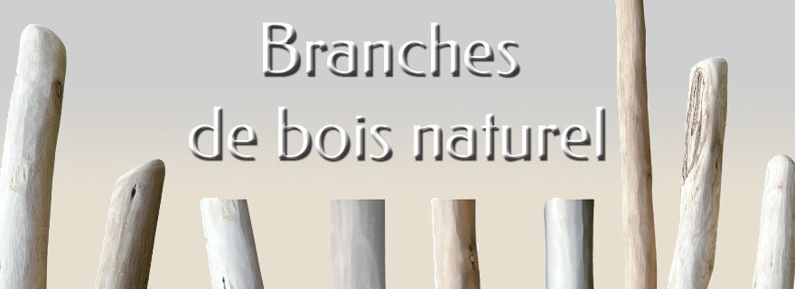 Branches de bois écorcées